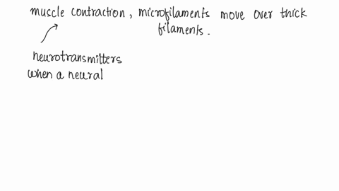 why-are-calcium-ions-so-important-for-the-muscle-contraction-process-54155