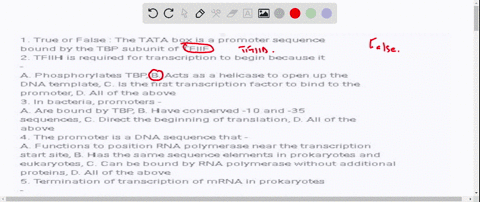 1-true-or-false-the-tata-box-is-a-promoter-sequence-bound-by-the-tbp-subunit-of-tfiif-2-tfiih-is-required-for-transcription-to-begin-because-it-a-phosphorylates-tbp-b-acts-as-a-helicase-to-o-03429