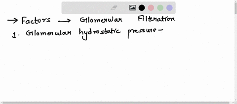 outline-the-factors-that-contribute-to-and-negate-glomerular-filtration-a-complete-response-should-include-the-anatomicalhistological-features-of-the-renal-corpuscle-that-mediate-filtration-99363