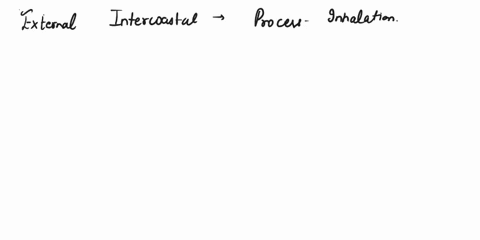 dies-anyone-know-the-correct-muscle-origininsertion-action-and-innervation-vauhus-tateralis-a-kechs-femons-a-fasedae-tensor-latae-thee-the-peu-adl-c-vaghes-a-mwscle-b-fig141-anterior-thigh-m-80477