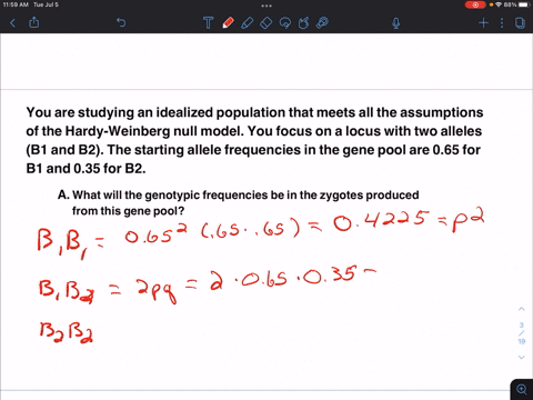 assumptions-of-the-hardy-you-are-studying-an-idealized-population-that-meets-alethe-the-starting-weinberg-null-model-you-focus-on-a-locus-with-two-alleles-b-and-bz-in-the-gene-pool-are-065-f-70103