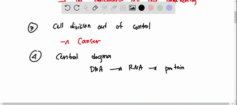 the-organelle-that-processes-and-packages-materials-for-the-cell-a-ribosome-b-rough-er-c-golgi-body-d-vacuole-in-mitosis-which-of-the-following-is-correct-a-non-of-the-mentioned-answers-are-35812