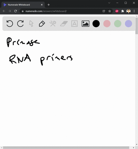 question-whicn-of-the-following-statements-about-coli-primase-isare-correct-it-is-responsible-for-synthesizing-rna-primers-it-is-responsible-for-synthesizing-dna-primers-the-primer-typically-60152