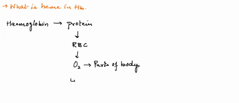 the-heme-in-hemoglobin-a-is-a-protein-chain-b-binds-oxygen-c-is-a-helix-area-in-the-hemoglobin-molecule-d-is-a-pleated-sheet-area-in-the-hemoglobin-molecule-e-is-an-oxygen-molecule-within-th-60424