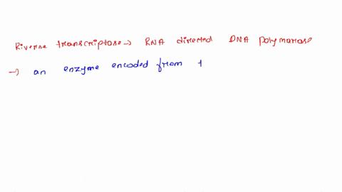 the-reverse-transcriptase-enzyme-is-active-in-which-class-of-viruses-a-positive-strand-rna-viruses-b-26526