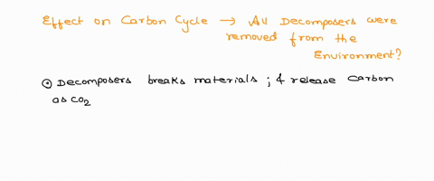 what-would-happen-to-the-carbon-cycle-if-all-decomposers-suddenly-died-and-were-not-replenished-58894