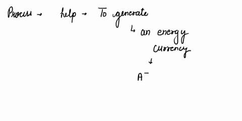 match-each-of-the-following-terms-with-the-best-description-i-incomplete-penetrance-ii-variable-a-when-heterozygotes-display-phenotype-intermediate-between-those-shown-by-homozygotes-for-tha-94272