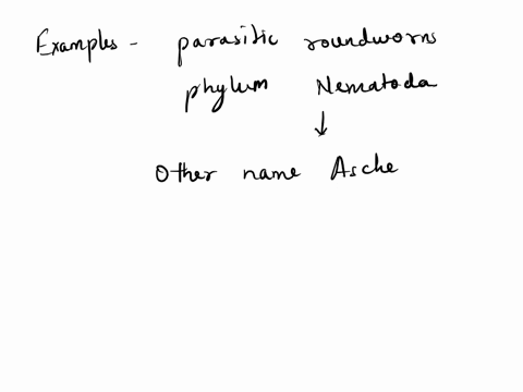 and-are-examples-ofparasitic-roundworms-reside-in-the-intestines-of-vertebrates-in-phylum-nematoda-and-clamworm-sandworm-planaria-pinworm-hookworms-ascaris-lumbricoides-tapeworm-leeches-pork-05086