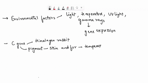 how-might-environmental-factors-also-cause-changes-within-an-organism-44449