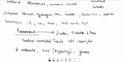 which-of-these-substances-are-reabsorbed-in-the-proximal-tubules-15pts-reabsorbed-notreabsorbed-amino-acids-ammonia-bicarbonate-chloride-cholesterol-glucose-hydrogen-ions-lactate-penicillin-01771