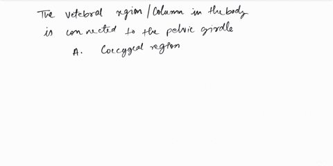 the-vertebral-column-is-connected-to-the-pelvic-girdle-in-the-a-coccygeal-region-b-sacral-region-c-lumbar-region-d-cervical-region-30195