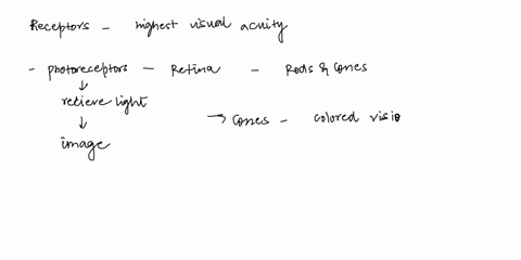 question-1041-point-which-of-the-below-receptors-conveys-the-highest-visual-acuity-acones-2-boptic-nerve-05-ocvitamin-a-odrods-80-oescotopsin-08876