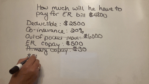 health-insurance-plan-deductible-s2500-co-insurance-20-how-much-money-will-a-patient-using-this-insurance-plan-have-to-out-of-pocket-s6000-max-pay-for-a-4800-medical-emergency-s500-copay-bil-04435