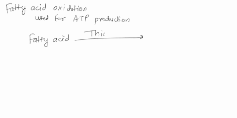 which-of-the-following-is-true-about-the-regulation-of-fatty-acid-oxidation-answers-a-e-high-levels-of-acetyl-coa-inhibits-the-activity-of-thiolase-increased-consumption-of-glucose-stimulate-60256