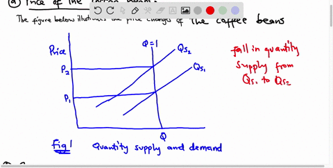 cups-of-coffee-and-donuts-are-complements-both-have-inelastic-demand-a-hurricane-destroys-half-the-coffee-bean-crop-use-appropriately-labeled-diagrams-to-answer-the-following-questions-a-what-happens-