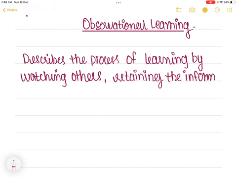 children-learn-many-social-behaviors-by-imitating-parents-and-other-models-this-type-of-learning-is-99184
