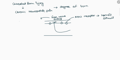 which-of-the-following-kinds-of-damage-is-often-the-recognizable-cause-of-neuropathic-pain-a-scar-ti-44779
