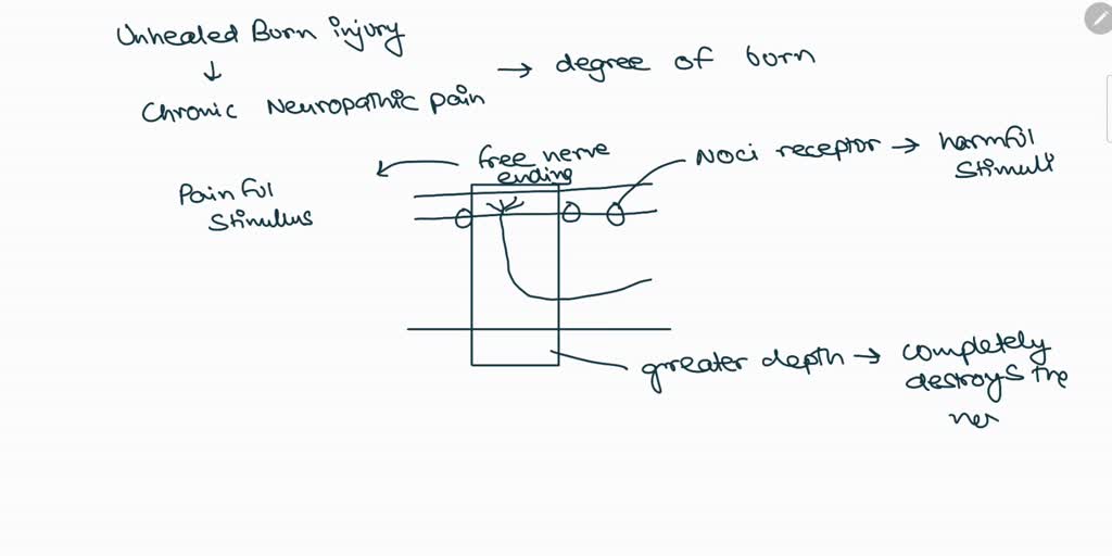 SOLVED Ante mortem abrasions can be confused with Select one a. Joule