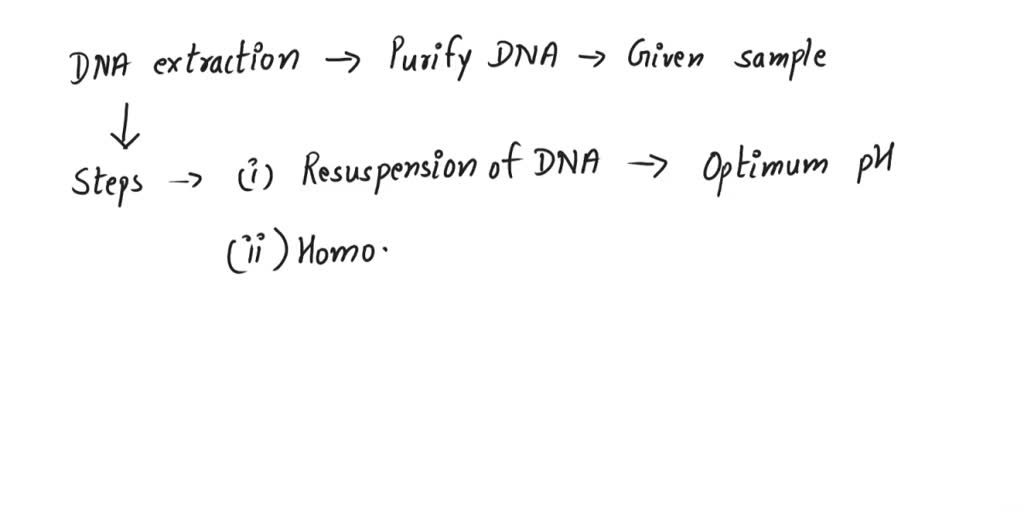 SOLVED The procedure for DNA extraction involved three main stages