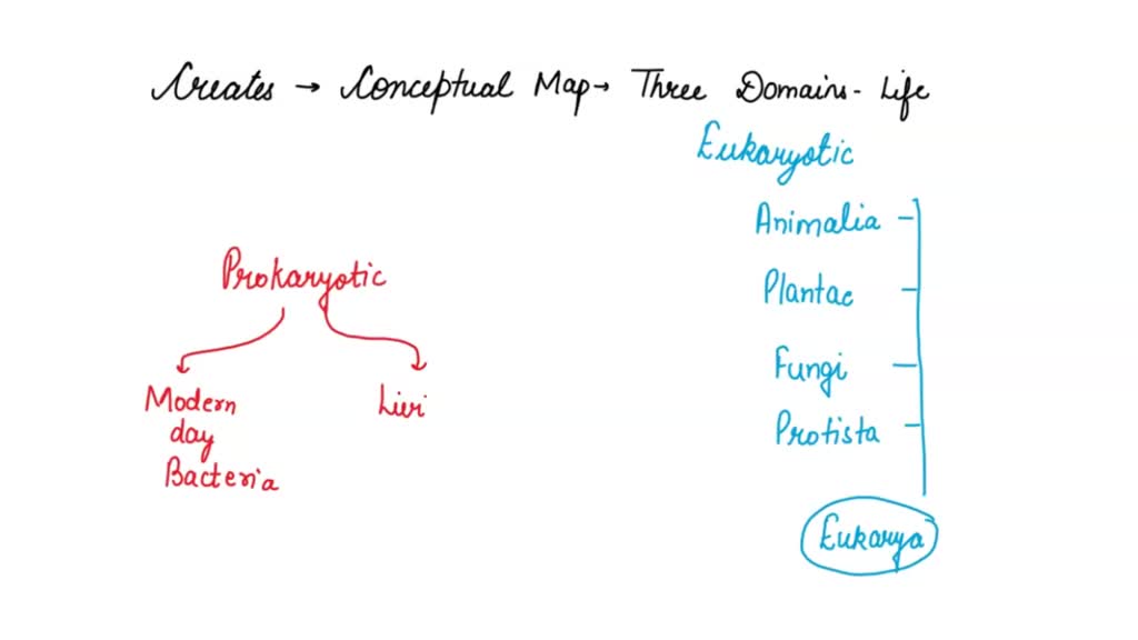 Solved 2 Creat A Chart With Three Domains Of Life And All Their Characteristics