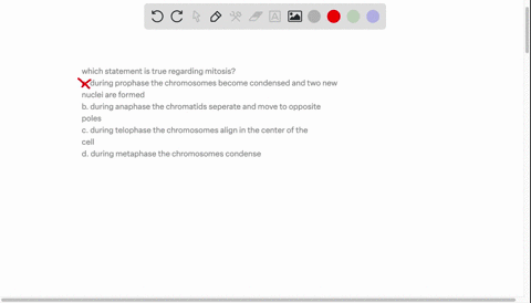 which-statement-is-true-regarding-mitosis-a-during-prophase-the-chromosomes-become-condensed-and-two-new-nuclei-are-formed-b-during-anaphase-the-chromatids-seperate-and-move-to-opposite-pole-56332