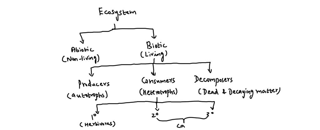 SOLVED: Q1. In the otter sea urchin kelp community on the Pacific coast