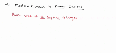 1-what-are-some-of-the-defining-physical-features-that-sets-modern-humans-homo-sapiens-apart-from-other-hominids-to-make-a-very-distinctive-species-2-what-are-the-unique-aspects-of-the-homin-37052