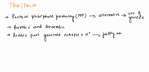 true-or-false-1-the-pentose-phosphate-pathway-generates-nadph-h-to-be-used-for-fatty-acid-synthesis-tf-2-the-oxidative-phase-of-the-pentose-phosphate-pathway-is-reversible-tf-3-the-nonoxidat-26964