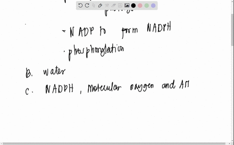 5-a-what-processes-occur-during-the-light-reactions-of-photosynthesis-b-what-molecule-is-used-up-split-c-what-molecules-are-produced-3-total-d-what-processes-occur-during-the-dark-reactions-15053