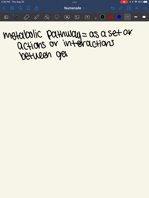 which-of-the-following-statements-concerning-metabolic-pathways-is-incorrect-a-metabolic-pathways-always-involve-a-series-of-consecutive-reactions-b-all-cyclic-metabolic-pathways-regenerate-21128