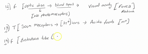 true-false-12-the-optic-disc-forms-spot-of-high-visual-acuity-where-the-optic-nerve-leaves-the-eyeball-true-false-13-sour-taste-receptors-are-stimulated-by-hydrogen-ions-of-acidic-food-subst-11619