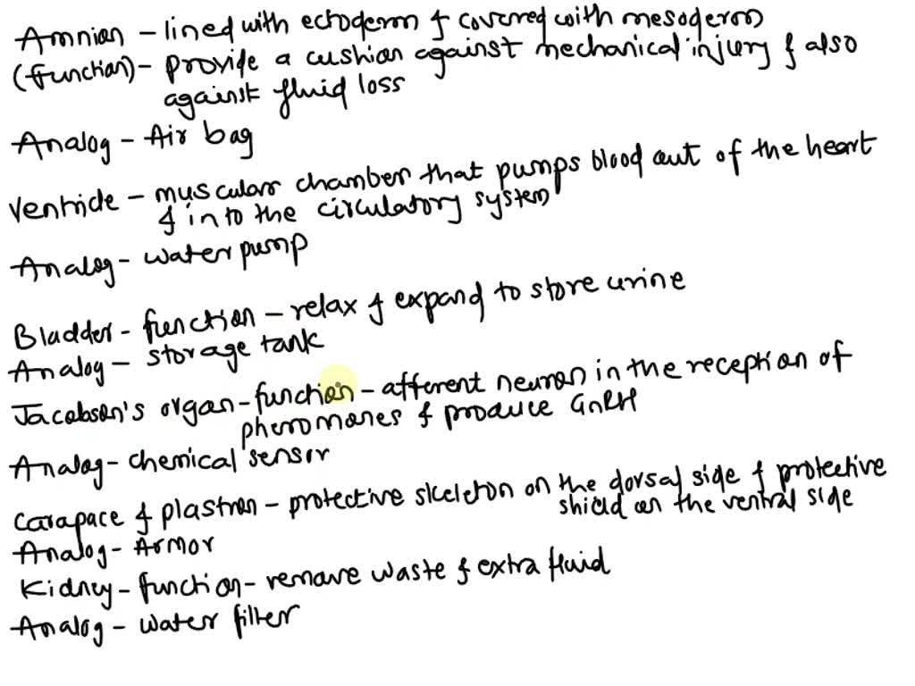 SOLVED Complete the following table showing the relationship between