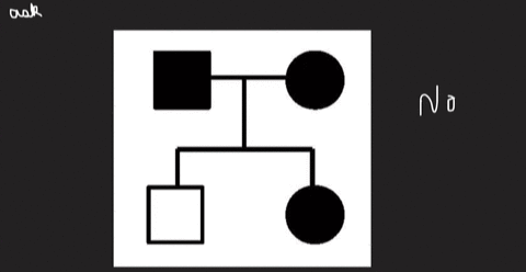 is-this-pedigree-consistent-with-extranuclear-inheritance-of-the-shaded-characteristic-select-one-yes-b-no-87845