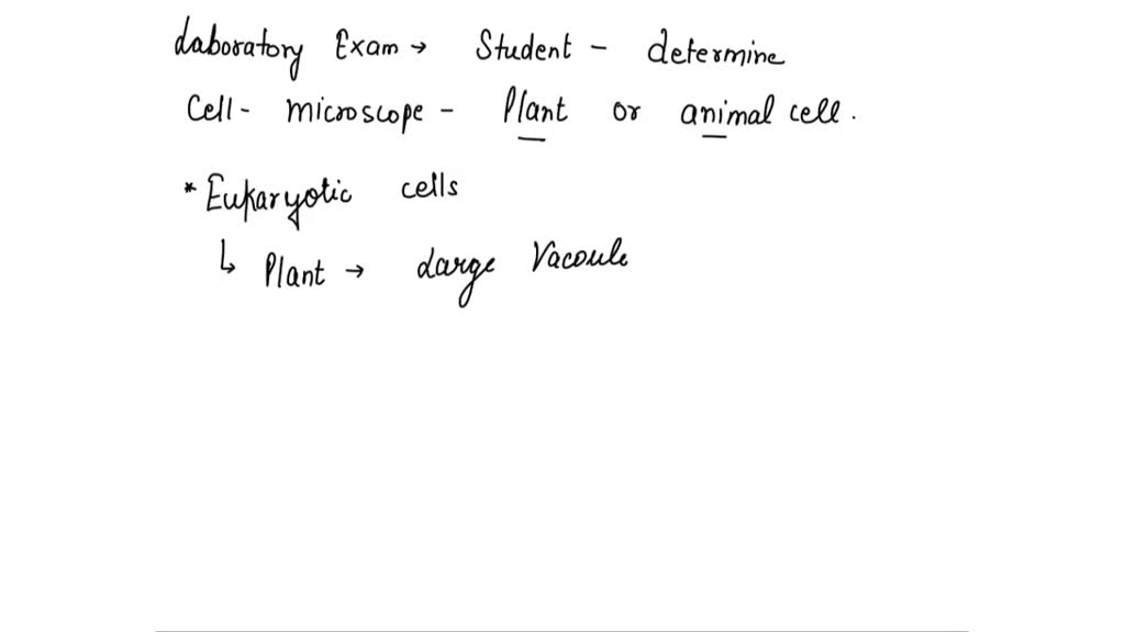 SOLVED A student is observing a group of cells under a microscope