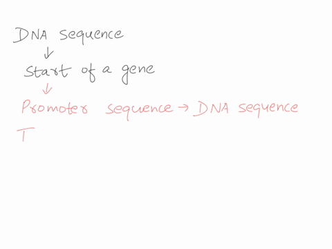 a-dna-sequence-that-signals-the-start-of-a-gene-is-multiple-choice-012-89-an-anticodon_-an-amino-acid-attachment-site-promoter-terminalor-codon-00955