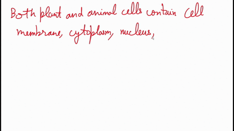 which-structure-is-common-to-plant-and-animal-cells-beginarraylltext-a-chloroplast-text-c-mitochondrion-text-b-central-vacuole-text-d-centriole-endarray-2