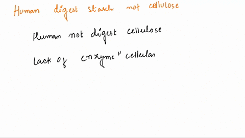 humans-can-digest-starch-but-not8-cellulose-because-abii-1-humans-have-enzymes-that-can-hydrolyze-the-beta-b-glycosidic-linkages-of-starch-but-not-the-alpha-a-glycosidic-linkages-of-cellulos-59465