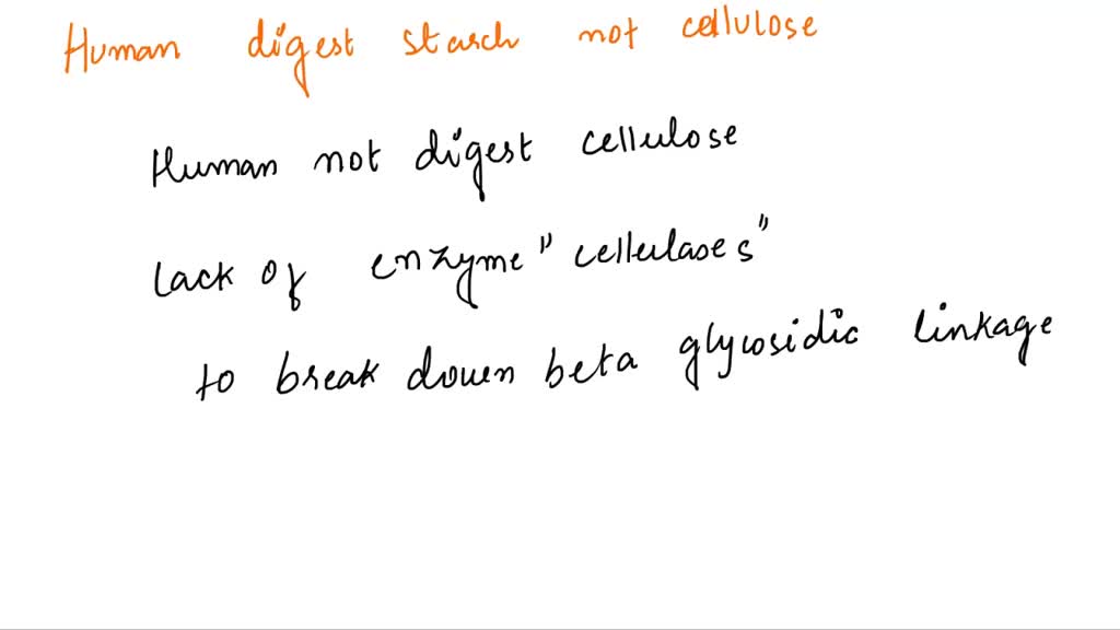 SOLVED Humans can digest starch but not cellulose because humans have