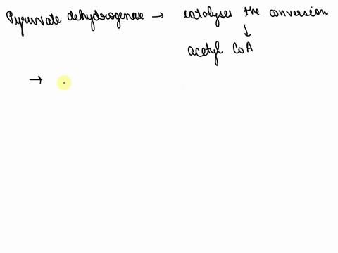question-4-when-oxygen-is-in-plentiful-supply-in-the-cell-pyruvate-is-converted-to-coa-acetyl-coa_-glucose-lactate_-jruuctose-79838