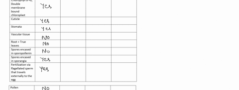 fiil-in-the-chart-below-with-yes-orno-a5-appropriate-t0-compare-characteristics-observed-in-each-of-the-four-major-land-plant-groups-non-vascular-plants-bryophytes-vascular-seedless-plants-e-73716