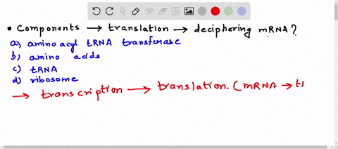 which-of-the-following-components-of-translation-is-responsible-for-deciphering-mrna-aminoacyl-trna-transferase-amino-acids-trna-ribosome-34085