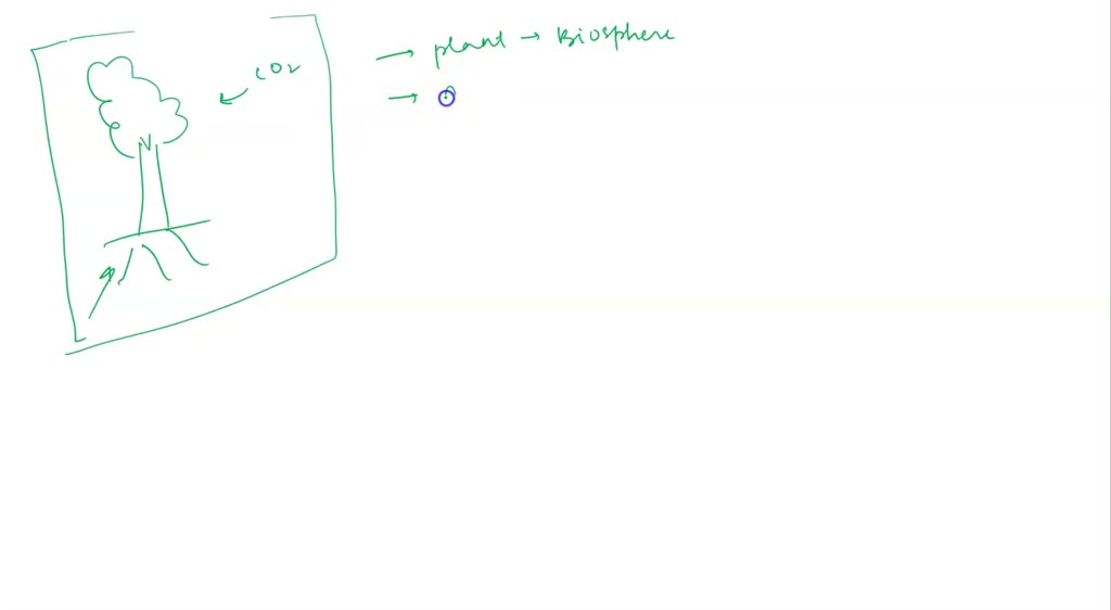 SOLVED Plants take up carbon dioxide from the air and nutrients from