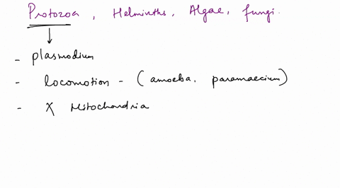 match-statements-with-the-appropriate-eukaryotic-group-not-all-statements-will-be-used-cells-walls-with-chitin-may-be-dimorphic-mostly-aquatic-may-lack-mitochondria-cell-walls-with-cellulose-41182