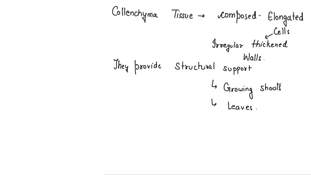 SOLVED: The corner of the cells of collenchyma tissue in plant are ...