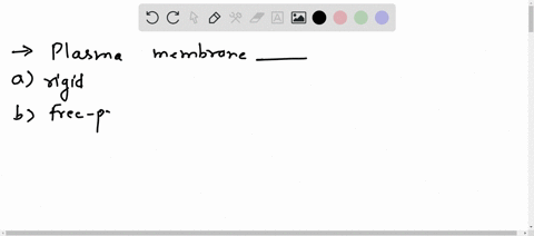 the-plasma-membrane-_____-a-is-rigid-and-impermeable-b-is-free-of-proteins-c-is-permeable-to-ions-and-polar-molecules-d-is-composed-mostly-of-cholesterol-e-controls-the-contents-of-the-cell-91268