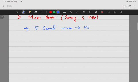 which-cranial-nerve-have-both-sensory-and-motor-function-whats-the-names-and-numbers-84695