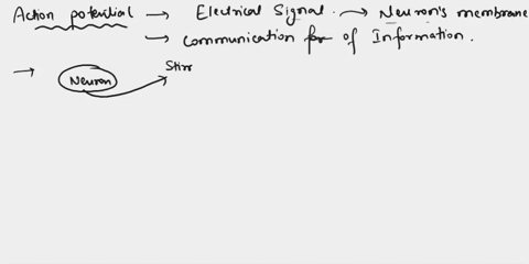 which-of-the-following-changes-to-an-action-potential-indicates-a-larger-stimulus-a-increased-frequency-b-increased-wavelength-c-increased-amplitude-d-increased-speed-37463