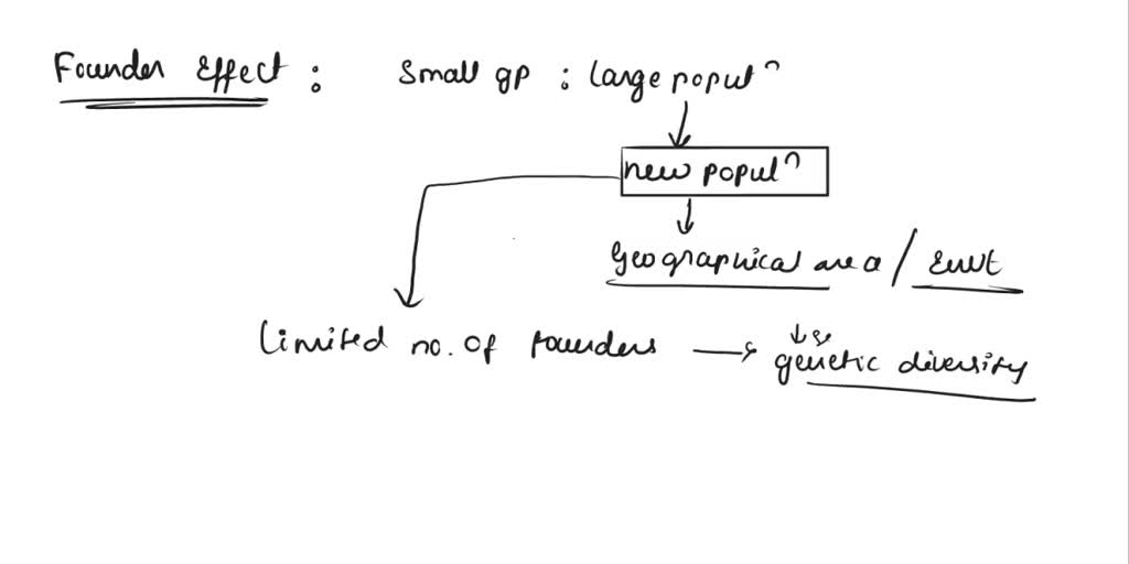 SOLVED The founder effect is a type of O Mutation Gene Flow