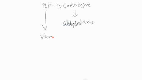 describe-by-showing-the-chemical-intermediates-the-role-of-pyridoxal-phosphate-plp-in-the-transamination-of-an-amino-acid-31265