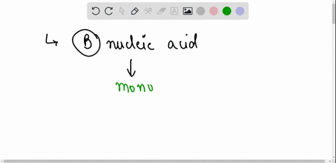 which-organic-molecule-does-the-diagram-below-represent-a-protein-b-nucleic-acid-c-amino-acid-d-lipid-nutreecnoes-bac-60268